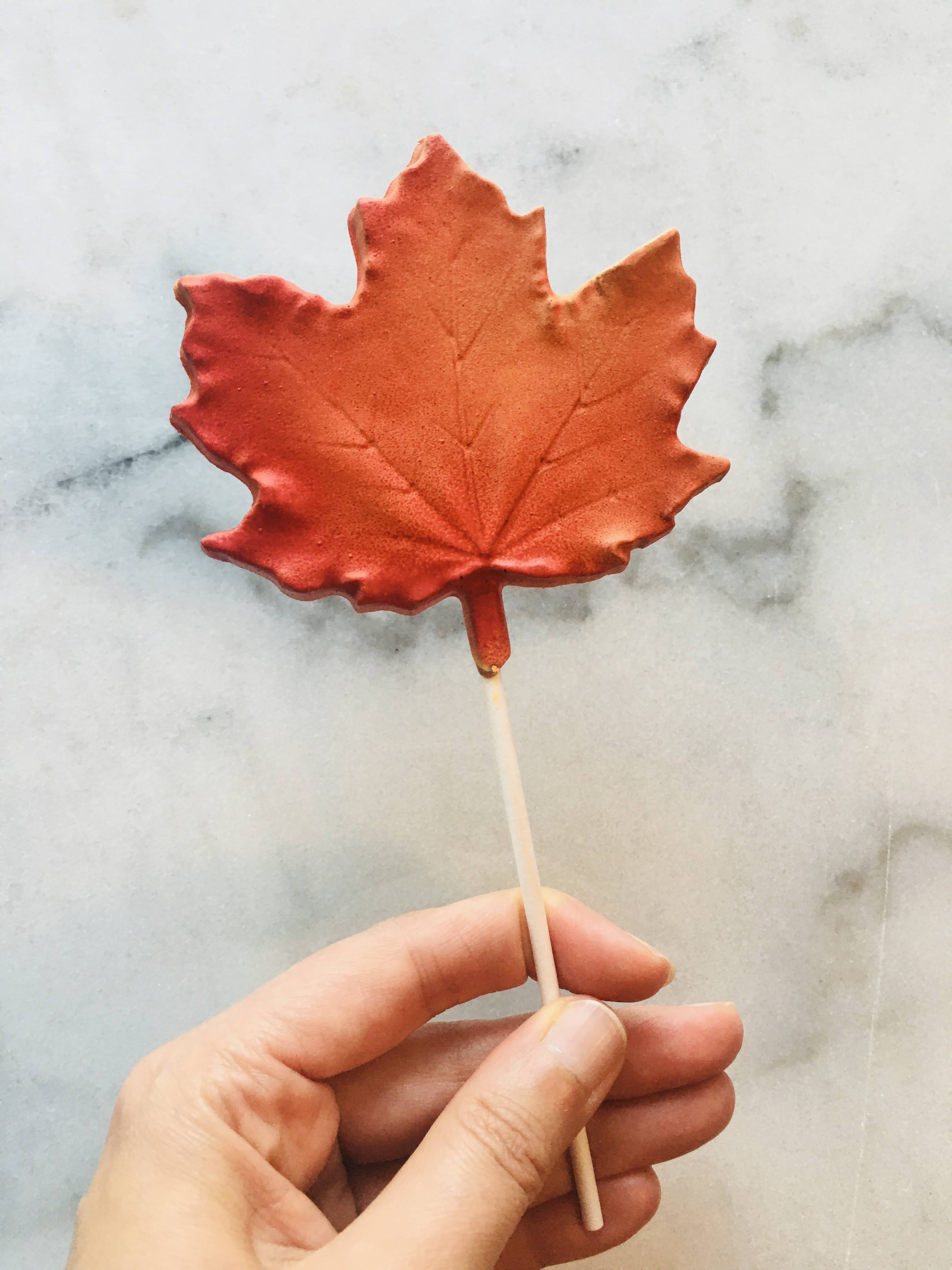 Maple Lolly