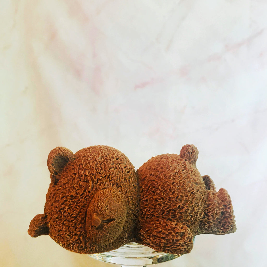 QUEST XO Bear Hug Hot Cocoa Bomb: Bear laying on a glass stand with a marble background.