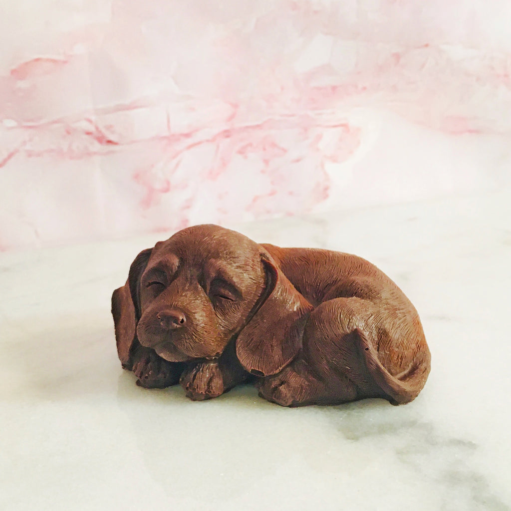 QUEST XO Puppy Love Hot Cocoa Bomb: A sleep dog on a pink background.