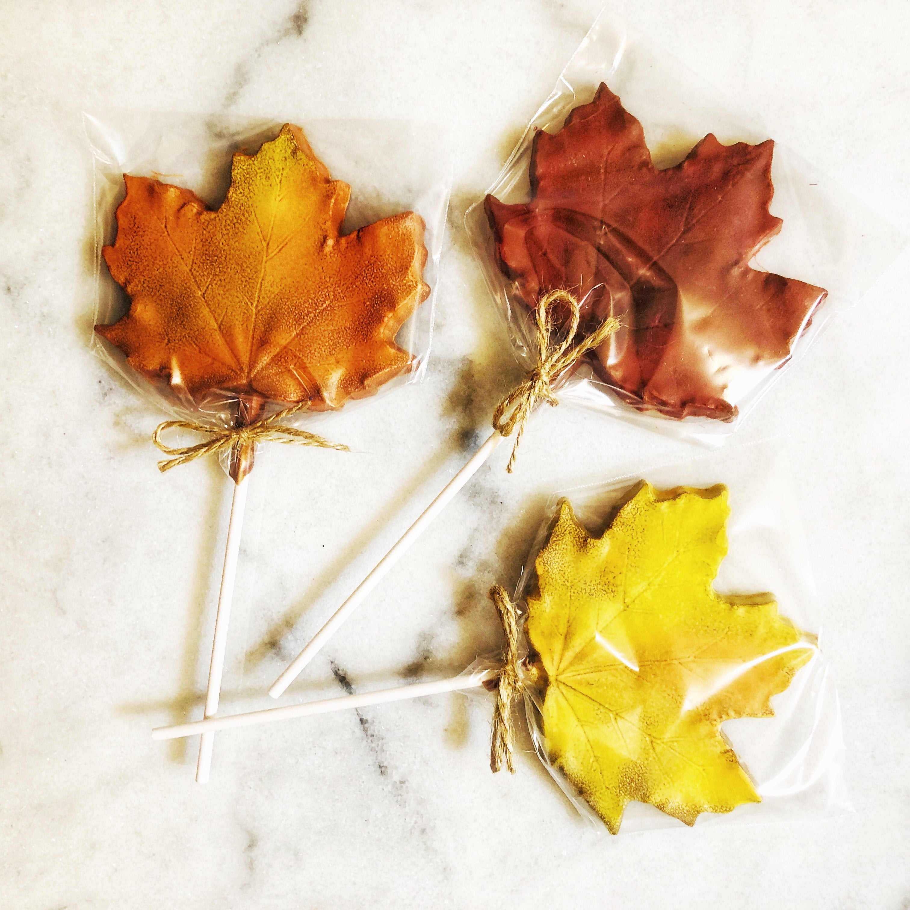 Maple Lolly